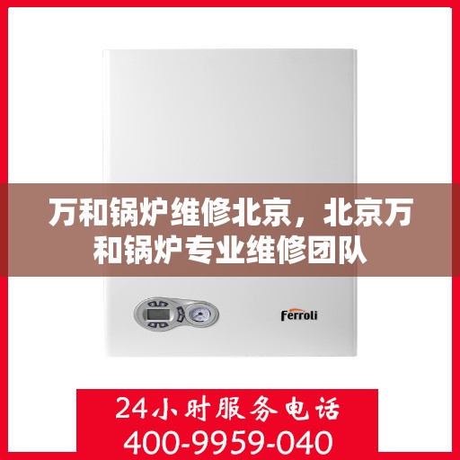 万和锅炉维修北京，北京万和锅炉专业维修团队
