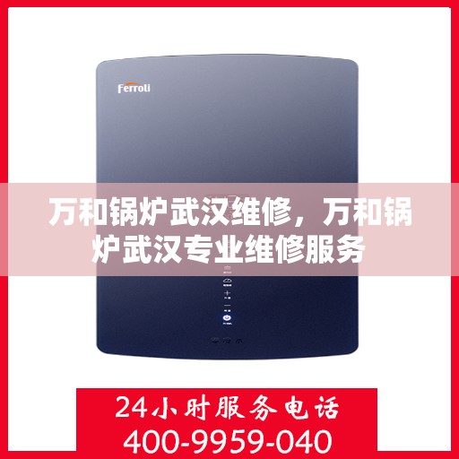 万和锅炉武汉维修，万和锅炉武汉专业维修服务