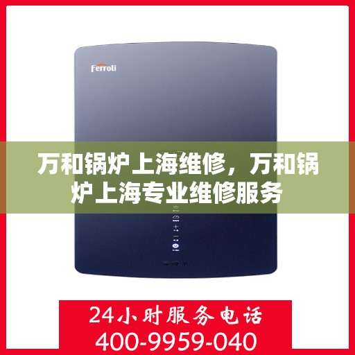 万和锅炉上海维修，万和锅炉上海专业维修服务