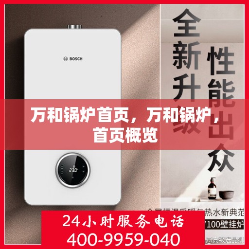 万和锅炉首页，万和锅炉，首页概览