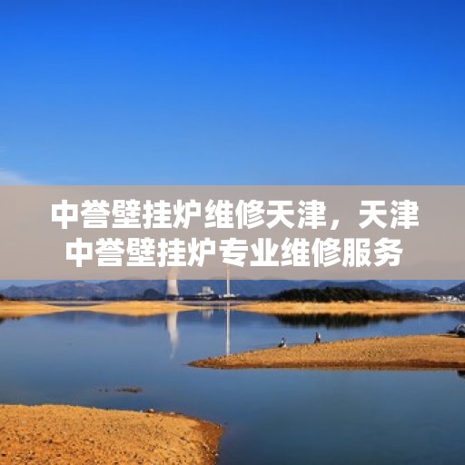 中誉壁挂炉维修天津，天津中誉壁挂炉专业维修服务