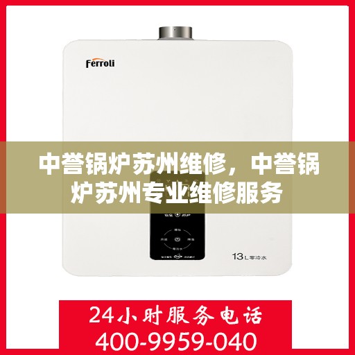 中誉锅炉苏州维修，中誉锅炉苏州专业维修服务